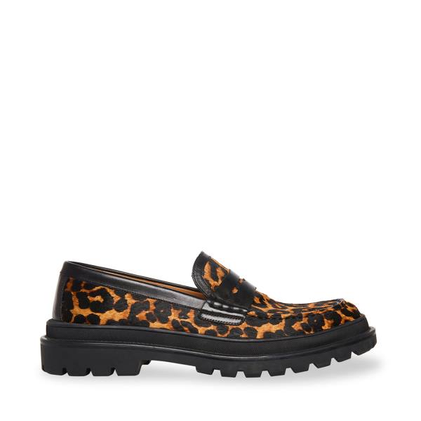 Loafers ανδρικα Steve Madden Charles Leopard λεοπαρ | SM-901JK