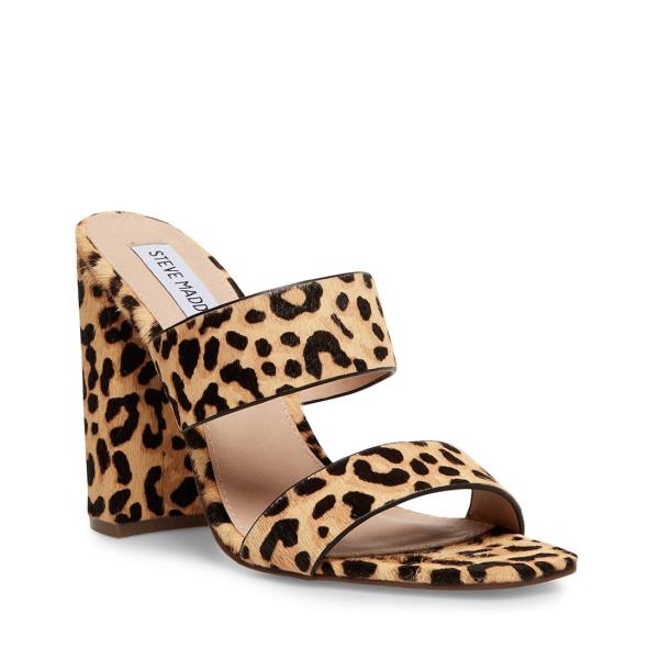 Τακούνια γυναικεια Steve Madden Tegan-l Leopard Heel λεοπαρ | SM-257EQ