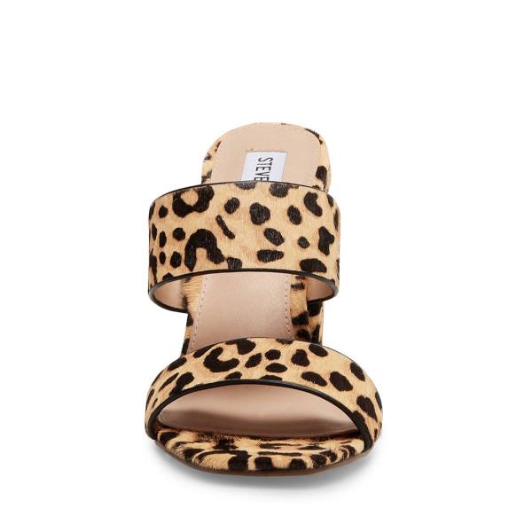 Τακούνια γυναικεια Steve Madden Tegan-l Leopard Heel λεοπαρ | SM-257EQ