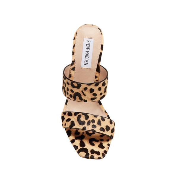 Τακούνια γυναικεια Steve Madden Tegan-l Leopard Heel λεοπαρ | SM-257EQ