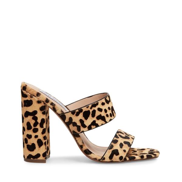 Τακούνια γυναικεια Steve Madden Tegan-l Leopard Heel λεοπαρ | SM-257EQ