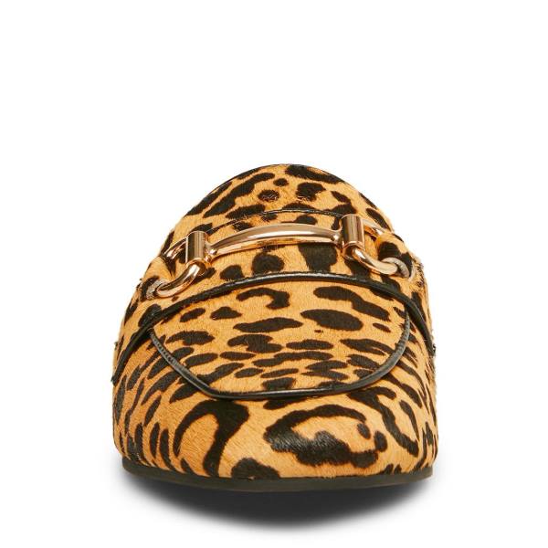 παπουτσια μπαλαρινεσ γυναικεια Steve Madden Rylie Leopard λεοπαρ | SM-729QY