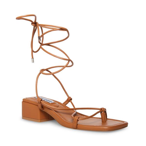 σανδαλια γυναικεια Steve Madden Claremont Tan σκούρο καφε | SM-341TJ