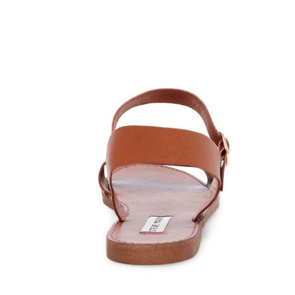 σανδαλια γυναικεια Steve Madden Donddi Tan δερματινα καφε | SM-586KN