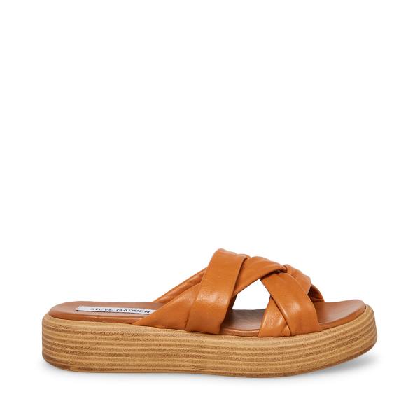 σανδαλια γυναικεια Steve Madden Salita Tan δερματινα καφε | SM-397GM