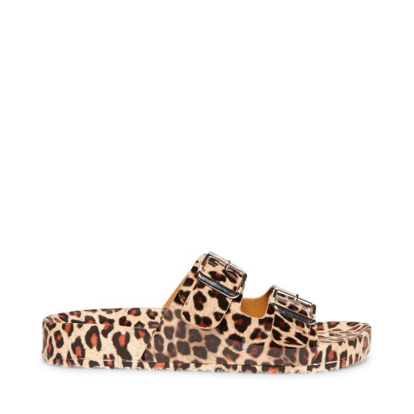 σανδαλια γυναικεια Steve Madden Teddy-t Leopard λεοπαρ | SM-938DE