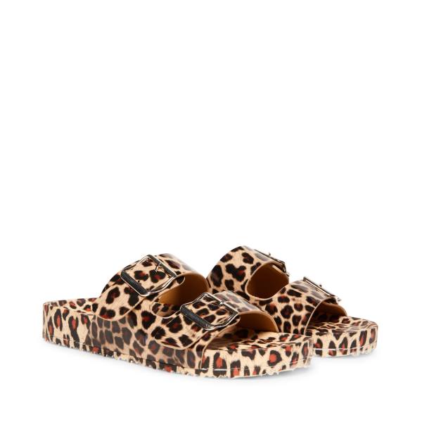 σανδαλια γυναικεια Steve Madden Teddy-t Leopard λεοπαρ | SM-938DE