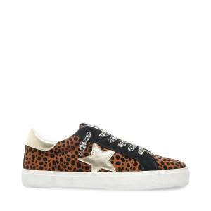 Αθλητικά Παπούτσια γυναικεια Steve Madden Philosophy Leopard λεοπαρ Πολύχρωμο | SM-576YS