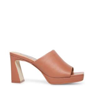 Τακούνια γυναικεια Steve Madden Dedicate Blush δερματινα Heel ροζ | SM-479TV