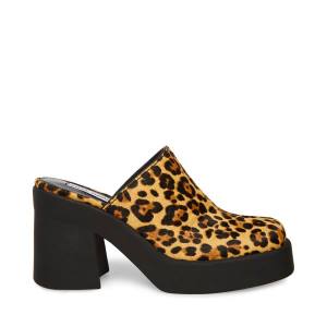 Τακούνια γυναικεια Steve Madden Kam Leopard Heel λεοπαρ | SM-250TE