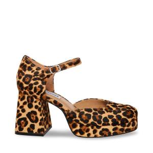 Τακούνια γυναικεια Steve Madden Mimi-l Leopard Heel λεοπαρ | SM-549KV