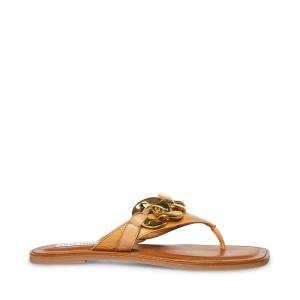 σανδαλια γυναικεια Steve Madden Hazel Tan καφε | SM-784IY